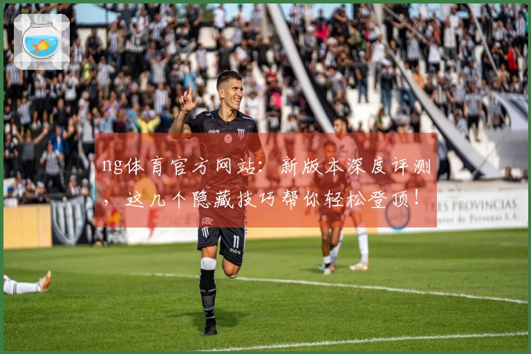ng体育官方网站：新版本深度评测，这几个隐藏技巧帮你轻松登顶！