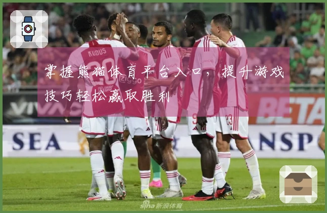 掌握熊猫体育平台入口，提升游戏技巧轻松赢取胜利